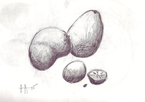 still life with mango