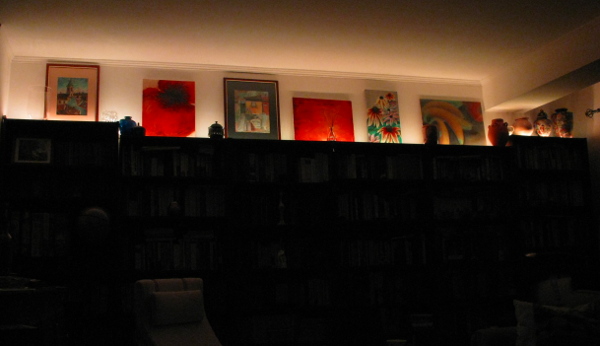 LED bookshelf painting illumination