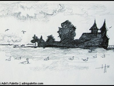 Swans in the&nbsp;lake