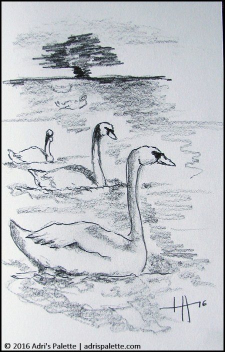 Lake Balaton swans